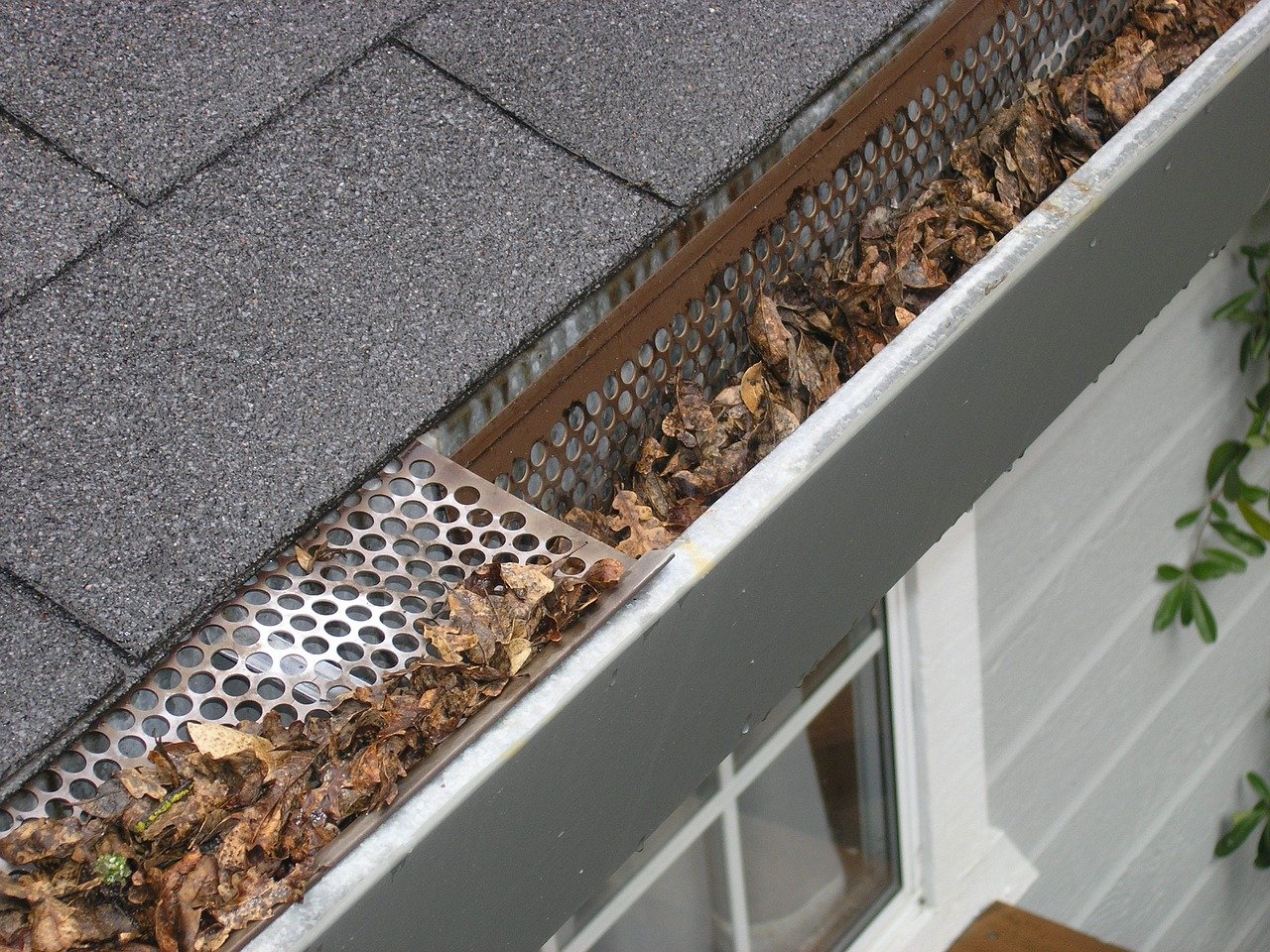 gutter guard ipswich, gutter protection ipswich, gutter covers ipswich-2434467.jpg